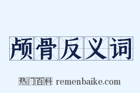 颅骨反义词是什么意思的图片